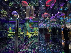 -梵高星空艺术馆(北京旗舰店)