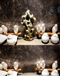 -香榭丽舍·生物护肤·问题肌护理中心