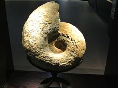 -中华赏石园