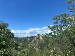 -大岭沟猕猴桃谷风景区
