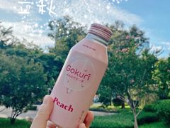 -乐乐便利店(华成路)