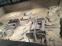 -洛阳周王城天子驾六博物馆