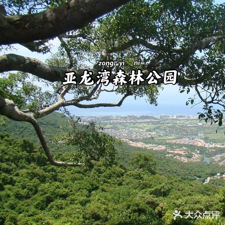 三亚亲子游‖干货分享