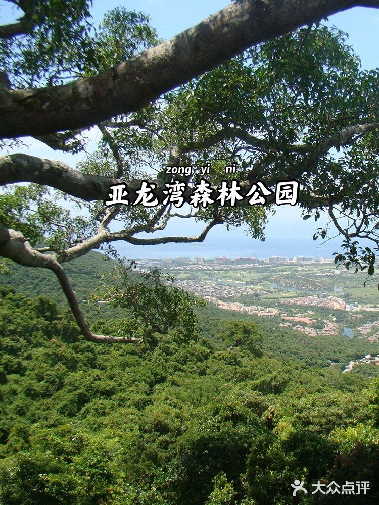 三亚亲子游‖干货分享