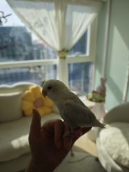 -荟草堂专业祛痘修护中心