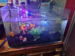 -三个大叔烤羊肉串·炭炉砂锅菜(西三旗店)