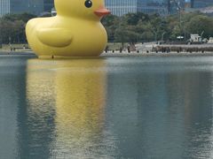 -华润深圳湾体育中心-“春茧” 体育馆