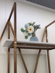 -广州曙光医学美容医院