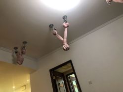 -Yvon yoga 瑜伽·精准体态管理中心