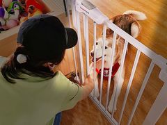 -Husky Go! 哈士奇体验馆·宠物咖啡厅狗咖