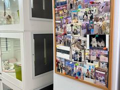 -青奢宠物·青奢猫舍