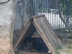 -石家庄市动物园