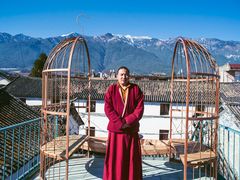 -喵屿·大理花园猫咖