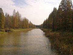 -黄海国家森林公园