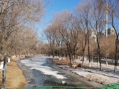 -长白岛森林公园