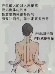 点击看大图 -香薇妮丝女子减肥院