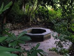 -广西壮族自治区药用植物园