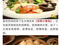-老苏扬饭店