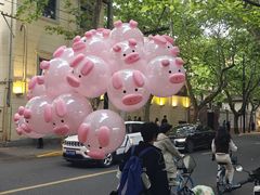 -WHEN PIGS FLY当猪飞