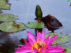 -国家植物园南园