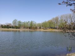 -东郊湿地公园
