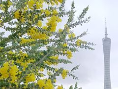 -海心沙亚运公园