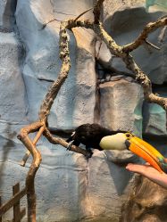 -Zoolung Zoolung动物主题公园(海信广场店)