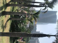 -莲花山公园