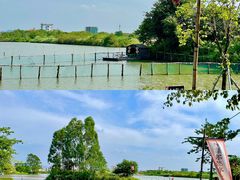 -江门古劳水乡旅游区