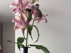 -卡罗酒店(东门晒布地铁站店)