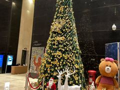-深圳皇庭V酒店