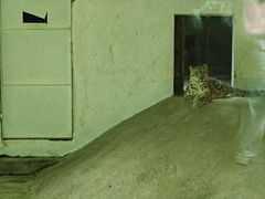 -青藏高原野生动物园