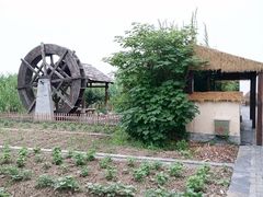 -同里国家湿地公园