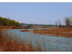 -野鸭湖国家湿地公园