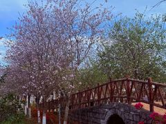 -盈香心动乐园