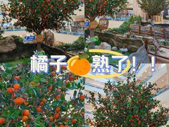 -赛格国际购物中心(小寨店)