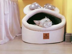 -房东的猫宠物生活馆