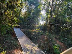-芦仙山景区-飞越丛林探险乐园