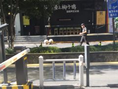 -狐狸爱上椰子鸡(滨江星光大道店)