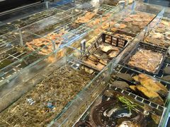 -大灶头·新昌菜(中国茶市店)