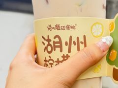 -猫的魔法密林(衣裳街店)
