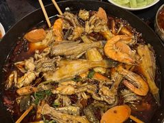 -鸿顺老铁锅美蛙鱼府(解放碑店)