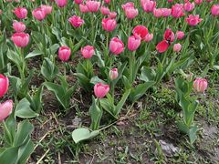 -长春公园(普阳街道)