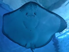 -北戴河圣蓝海洋公园