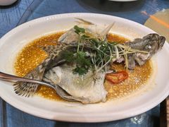 -濠景渔港(汇通店)