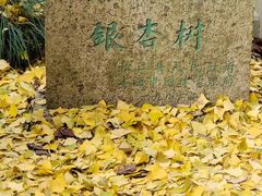 -上海醉白池公园