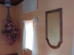 -金山农民画村-枫泾波兰倒置屋