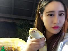 -清迈夜间动物园