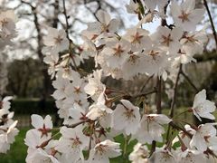 -京都御所