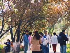 -元大都城垣遗址公园